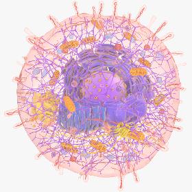 Cell(1) 3D model